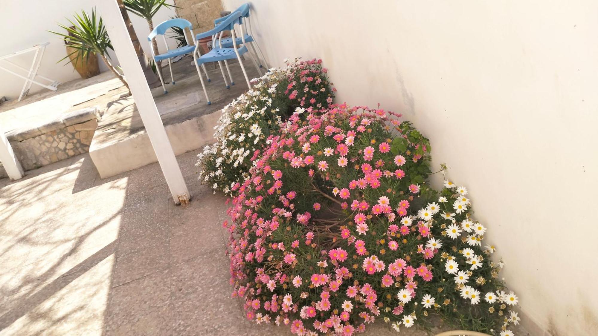 Casa Antonio E Nicoletta Villa Porto Cesareo Bagian luar foto